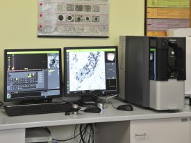 Il microscopio elettronico a scansione